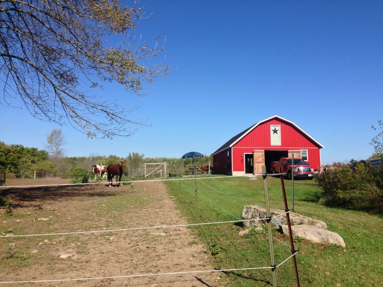 The barn and horses fields.